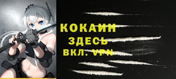гашик Новодвинск