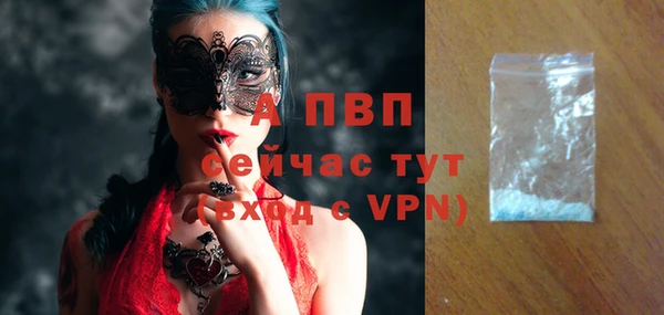 спиды Новозыбков