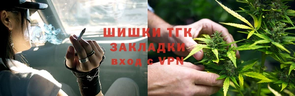 спиды Новозыбков