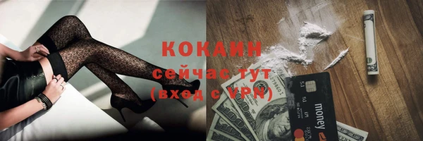 гашик Новодвинск