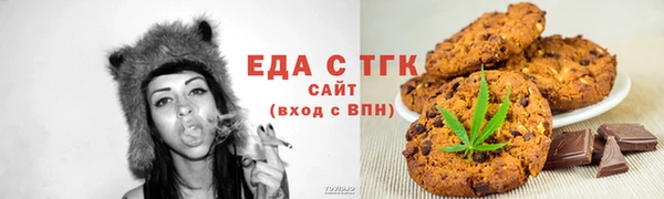 спиды Новозыбков