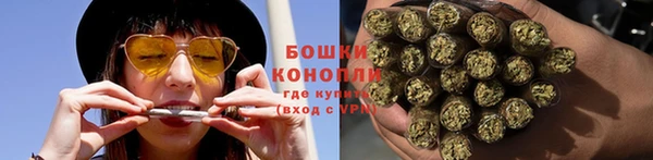 гашик Новодвинск