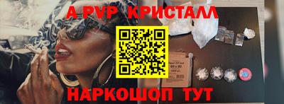 шишки Гагарин