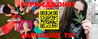 ALPHA PVP Гай