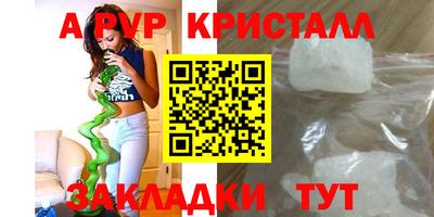 шишки Гагарин