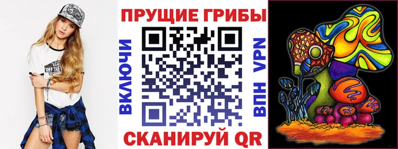 где найти наркотики  Реутов  Псилоцибиновые грибы GOLDEN TEACHER 