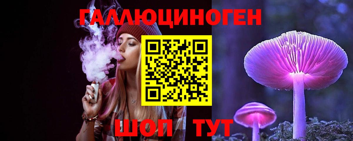 Псилоцибиновые грибы Cubensis Реутов