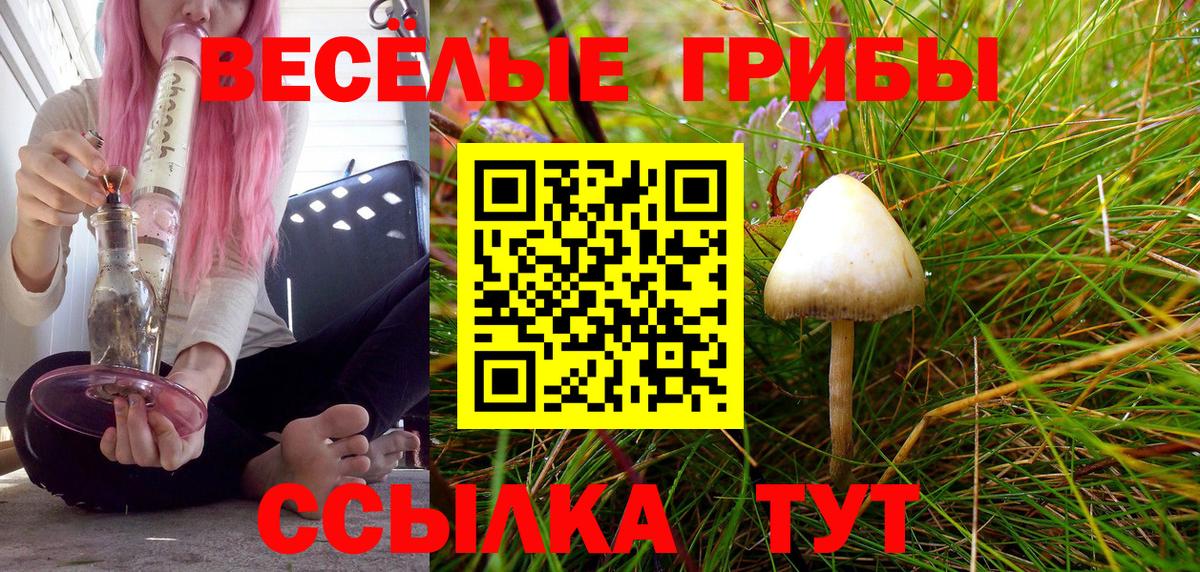 Галлюциногенные грибы MAGIC MUSHROOMS  Псилоцибиновые грибы Cubensis  Вход с VPN  Реутов 